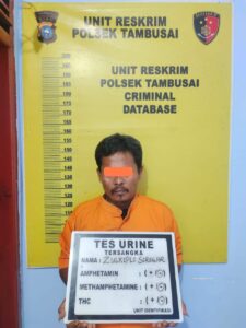 Jadi DPO Kasus Pencurian Buah Kelapa Sawit, Pria Ditangkap Personil Polsek Tambusai Di Rumahnya