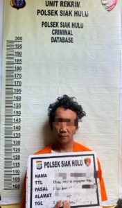 Polsek Siak Hulu Tangkap Pelaku Pencurian Buah Sawit dan Penganiayaan