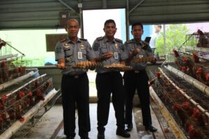 Dukung Program Ketahanan Pangan, Kalapas Pekanbaru dan Jajaran Panen Hasil Pembinaan Kemandirian Warga Binaan
