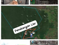 Hutan Desa Sungai Linau Bengkalis Menangis, APH Tutup Mata,Masih Adakah Penegak Hukum di Negara Ini?