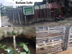 Info Terbaru!! Gudang yang Diduga BBM Ilegal Ternyata Penyulingan Minyak Sirih dan Kandang Kambing