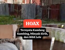 Video Viral Soal Gudang BBM Ilegal di Tenayan Raya Terbantahkan, Ternyata Kandang Kambing dan Penyulingan Minyak Sirih