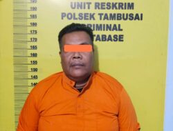 Polsek Tambusai Tangkap Pelaku Pencurian Kelapa Sawit di Rokan Hulu