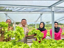 Launching Program Pekarangan Pangan Lestari (P2L) Di Polres Rokan Hulu