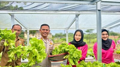 Launching Program Pekarangan Pangan Lestari (P2L) Di Polres Rokan Hulu