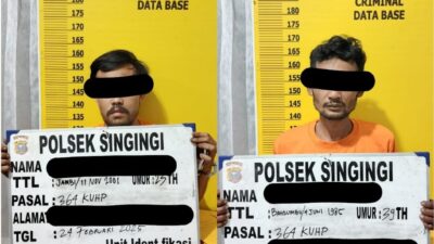 Polsek Singingi Amankan Dua Pelaku Pencurian Buah Kelapa Sawit di Desa Sungai Bawang