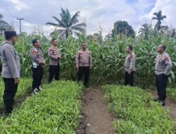 Kapolsek Tebo ilir Terima Kunjungan Rutin Kapolres Tebo Didampingi Kajari tebo Bersama Tim Supervisi Dan Asistensi Ketahanan Pangan