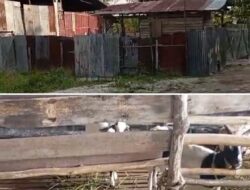 Gudang yang Dituduh Simpan BBM Ilegal Ternyata Sentra Usaha Warga