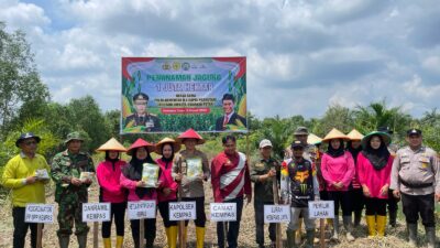 Kelompok Tani Berkah Alam Purnama Bersama Polsek Kempas dan Bhayangkari Tanam Jagung Dukung Program Ketahanan Pangan.