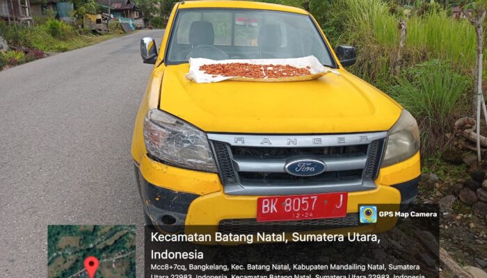 Di duga rusak dan tak terawat , Mobil Ranger Ford berwarna kuning plat merah dengan nomor polisi BK 8057 J terparkir di bahu jalan Lintas desa bangkelang , kecamatan batang natal , kabupaten Mandailing Natal (Madina ) Sumatra Utara ( sumut) Sabtu (15/03).