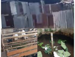 Klarifikasi Video Viral: Gudang di Tenayan Raya Pekanbaru Bukan Penampungan BBM Ilegal