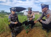 Sat Lantas Polres Rohul Laksanakan Penanaman Pohon, Dukung Program Kapolda Riau Untuk Penghijauan