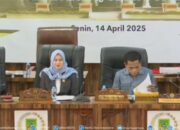 Wakil bupati Rohil Jhony Charles rapat paripurna dengan DPRD  dalam agenda laporan LKPJ tahun 2024