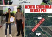 GARMASI ROHIL DESAK SATGAS PKH MENYITA LAHAN KAWASAN HUTAN DI SUNGAI DAUN DAN KUBU YANG DIDUGA DIKUASAI MAFIA LAHAN SECARA ILEGAL