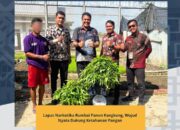 Lapas Narkotika Rumbai Panen Kangkung, Wujud Nyata Dukung Ketahanan Pangan
