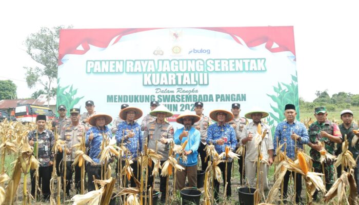 Kapolres Inhu Panen Raya Jagung Serentak Kuartal II Bersama Presiden dan Kelompok Tani