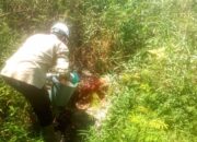 Dinas lingkungan hidup (DLH) Rohil turun kelapangan mengambil sampel air limbah pks PT DGS