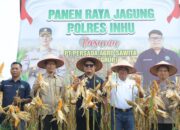 Kompak Pemda Dan Polres Inhu Panen Raya Jagung Di PT PAS, Wakapolres: Pemuda Jangan Malu Jadi Petani