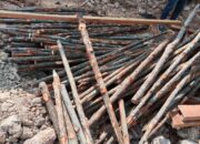 Penyalahgunaan Pohon Mangrove/Bakau Untuk Pembangunan Rumah Elit Rosedale Batam Centre Diduga Melanggar Hukum, APH Diharapkan Segera Bertindak