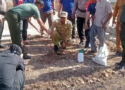 Wakil Bupati Rohil Jhony Charles  dan Penghulu Ujung Tanjung  H.Syamsuri, Af. Hadiri Kegiatan Penanaman Pohon di Stadion Ujung Tanjung