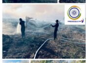 Kebakaran Hutan, Brimob Polda Riau Turun Padamkan Api