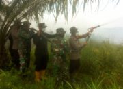 Wakil Bupati Rohil Jhony Charles bersama Kapolres Rohil AKBP isa imam syahroni dan Dandim 0321  turun langsung  memadamkan kebakaran lahan di kepenghuluan Bangko permata