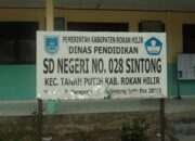 Beberapa sekolah SDN di kecamatan tanah putih terancam tutup, jika aturan SPMB dilanggar