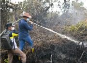 Wakil Bupati Rohil Jhony Charles  turun langsung dalam upaya memadamkan kebakaran lahan di teluk nilap ,kubu