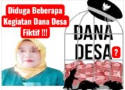 Diduga Kades Banjar Seminai, Dayun, Kab. Siak, Berinisial S A, “Bermain” DD TA 2024, Diduga Anggarannya Tidak Direalisasikan alias Fiktif
