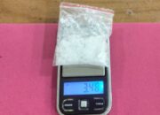 Polsek Sungai Sembilan Ungkap Kasus Narkoba di Kebun Sawit