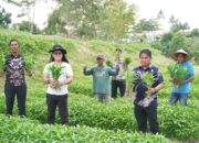 Panen Kangkung, Buah Manis dari Pembinaan di Rutan Pekanbaru