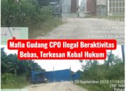 Dua Gudang CPO Ilegal di Bathin Solapan Diduga Kebal Hukum, Publik Minta APH Bertindak Tegas