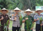 Kejari Dumai Hadiri Kegiatan Penanaman Bibit Kelapa Dukung Program Ketahanan Pangan Nasional