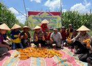 Kapolsek TPTM IPDA Boni ferdi sagala, bersama stakeholder panen jagung pipil sebanyak  8 ton di parit sujak