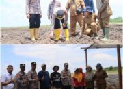 Kapolres Dumai Tinjau Persiapan Penanaman Jagung Serentak di Medang Kampai