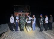Pelaku dan Alat Berat Ditangkap Saat Razia Galian C Oleh Polri dan TNI di Desa Sungai Potai