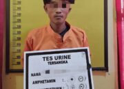 Polsek Tapung Hulu Amankan Pelaku Pencurian Sawit Yang Diserahkan Security