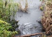 PHR,  sumber daya alam dikeruk, limbah dibuang sembarangan, DLH Rohil harus tindak tegas