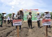 Polres Kampar Bergerak Tanam Jagung! Kapolres: ‘Ini Bukti Polri Ikut Amankan Pangan Nasional!