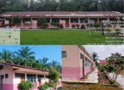 SDN 005 Pasir Luhur Direhab Melalui DAK Pendidikan Rp1,6 Miliar, Wujud Nyata Komitmen Pemkab Rohul Majukan Pendidikan