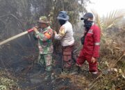 Karhutla Ancam Perumahan di Kampar, Personil Polres dan Petugas Gabungan Berjibaku Padamkan Api!