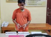 Residivis Kasus Narkoba Kembali Berulah, Polsek Kampar Kiri Hilir Tangkap Pelaku