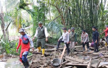 Menteri Kehutanan dan Kapolda Riau Terjun Langsung ke Lokasi Bencana di Agam, Percepatan Evakuasi dan Bantuan Terus Dikerahkan