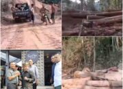 Perambahan Hutan XIII Koto Kampar Tanjung Alai Makin Brutal – Panglimo LBLK Geram Jangan Tunggu PLTA Runtuh