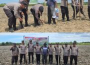 Polsek Sungai Sembilan Bersama Kelompok Tani Lestari Tanam Jagung 4 Hektar, Dukung Ketahanan Pangan Nasional 2026