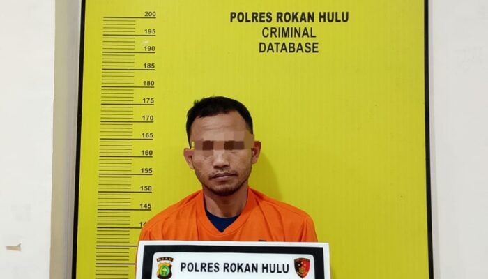 Transaksi Narkoba Terendus, Satresnarkoba Polres Rokan Hulu Amankan Kurir Sabu di Tambusai Utara