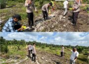POLSEK BUKIT KAPUR TURUN KE LAHAN, TANAM JAGUNG PIPIL DUKUNG SWASEMBADA PANGAN 2026