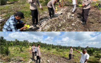 POLSEK BUKIT KAPUR TURUN KE LAHAN, TANAM JAGUNG PIPIL DUKUNG SWASEMBADA PANGAN 2026