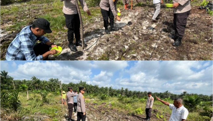 POLSEK BUKIT KAPUR TURUN KE LAHAN, TANAM JAGUNG PIPIL DUKUNG SWASEMBADA PANGAN 2026