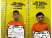 Tangkap 3 Pengedar Narkoba, Polsek Ujungbatu Sita Barang Bukti 79 Paket Sabu Siap Edar